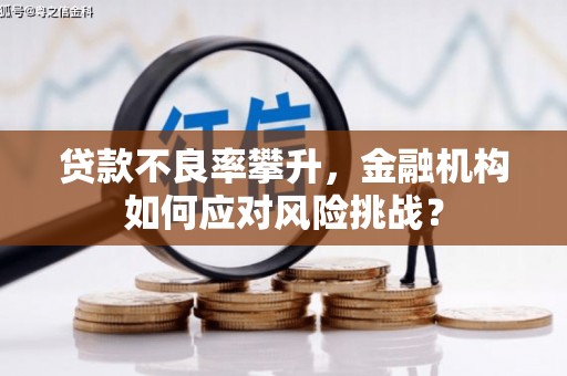 泸县贷款不良率攀升，金融机构如何应对风险挑战？