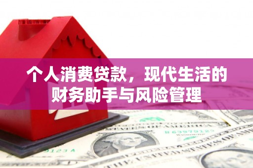 泸县个人消费贷款，现代生活的财务助手与风险管理