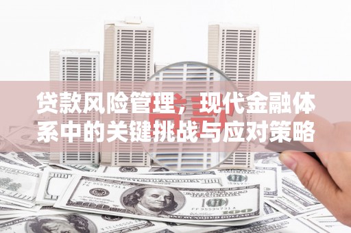 泸县贷款风险管理，现代金融体系中的关键挑战与应对策略