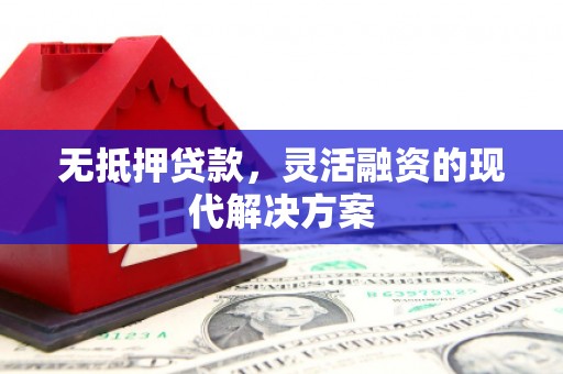 泸县无抵押贷款，灵活融资的现代解决方案