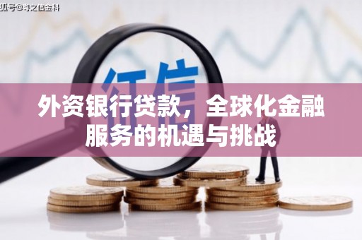 泸县外资银行贷款，全球化金融服务的机遇与挑战