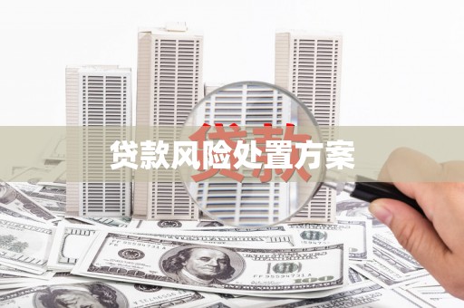 泸县贷款风险处置方案