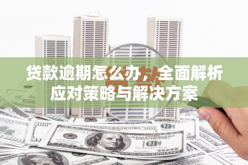 泸县贷款逾期怎么办，全面解析应对策略与解决方案