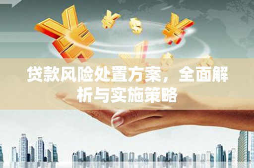 泸县贷款风险处置方案，全面解析与实施策略