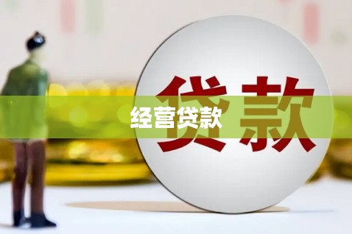 泸县经营贷款