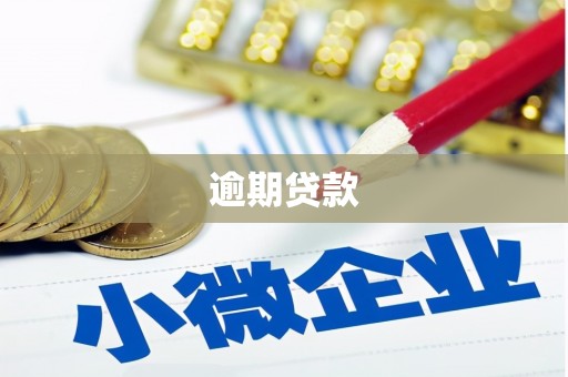 泸县逾期贷款
