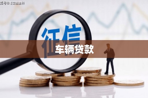 泸县车辆贷款